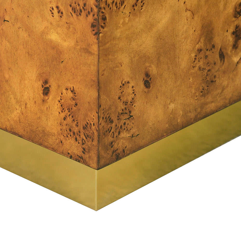 1462-22 - Anaheim Coffee Table - Rustic Burl Finish