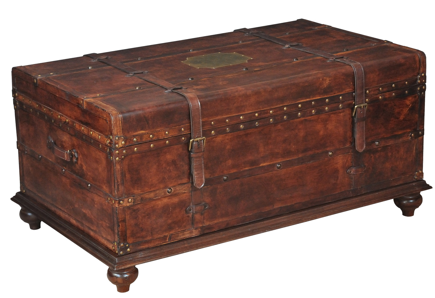 Laramie Trunk Coffee Table