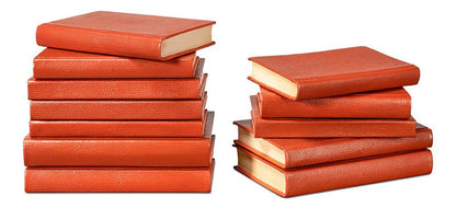 Shagreen Books, Set Of 12, Orangeade