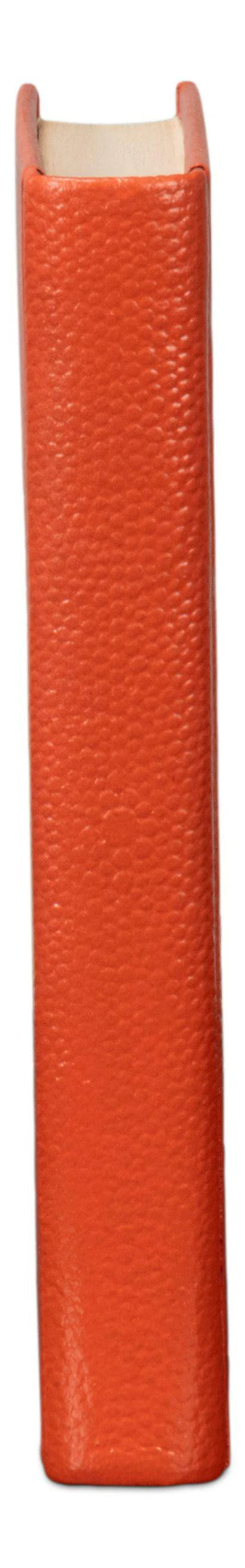 Shagreen Books, Set Of 12, Orangeade