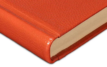 Shagreen Books, Set Of 12, Orangeade