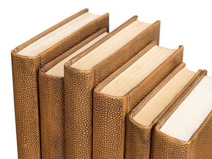 Shagreen Books, Set Of 12, Tawny Brown
